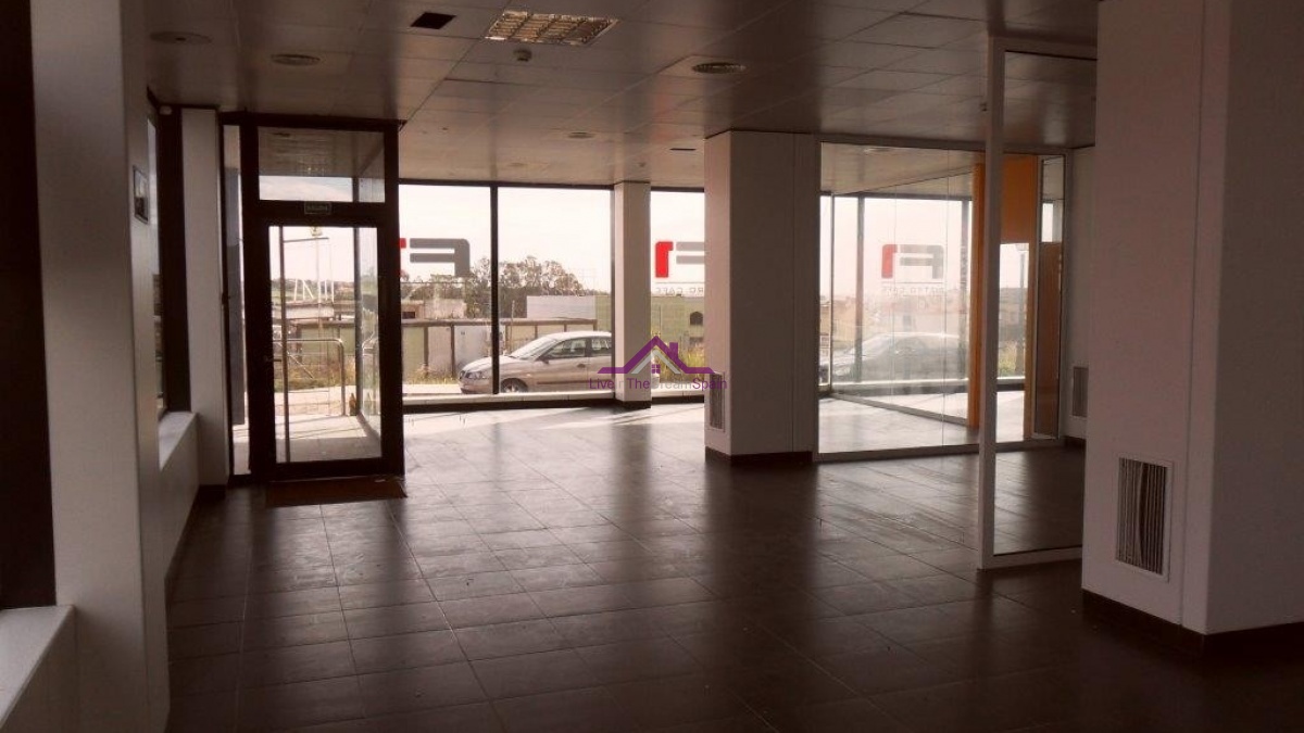 Commercial, For Rent, Listing ID 1019, San Pedro, Costa Del Sol, Spain,